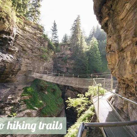 Haus Cristal By Interhome * 洛伊克巴德